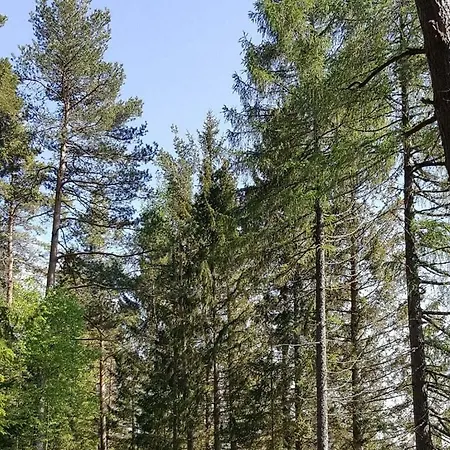 Сasa de vacaciones Schluchseestube 3307 *